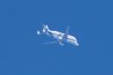 An Airbus Beluga XL was spotted flying over the Norfolk