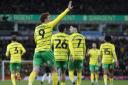 Back in the game - Josh Sargent celebrates his goal against Southampton