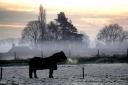 A cold weather alert has been issued for Norfolk this week