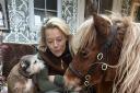 Jack Brock, the 18-year-old miniature pony, will feature on Love Your Weekend with Alan Titchmarsh
