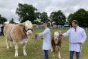 Marcus Searle with sister Helen Searle and the interbreed beef champion with calf
