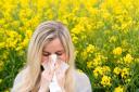 A  pollen bomb is set to hit Norfolk this weekend
