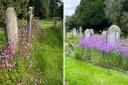 Dereham Town Council has trialled growing wildflowers in a cemetery where some of the graves are over 100 years old.