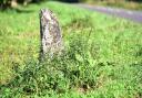 The Stockton Stone.Picture: Nick Butcher