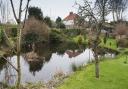 Weird Norfolk feature on the Lily Pit,  Beccles Road, Gorleston.Picture: Nick Butcher