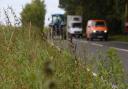 Weird Norfolk. The A1075 road from Thetford to Wretham where a 'shaggy creature' was seen in 1986, and again in 2007. Picture: DENISE BRADLEY