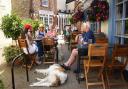 Well-behaved dogs are never a problem in restaurants, says Andy Newman