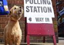 Polling stations have opened in Norfolk after weeks of campaigning