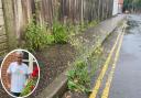 Overgorwn verges and weeds sprouting from pathways has sparked the ire of people in Great Yarmouth and Gorleston.