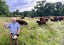 Stalham Farmers’ Club and the East Norfolk NFU branch joined Tony Bambridge for a tour of Park Farm on the Blickling Estate