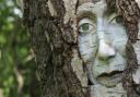 Explore artworks at annual Bayfield Hall's countryside sculpture trail