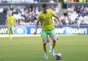 Is Ante Crnac a solution to Norwich City's attacking struggles?