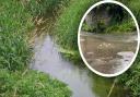 Sewage has overflowed into a rare Norfolk chalk stream - the Gaywood River - after heavy rainfall