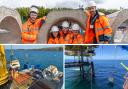 Exo Engineering, based at the UEA, in Norwich, has created artificial concrete reefs to help protect marine life around energy infrastructure in the North Sea