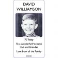 DAVID WILLIAMSON