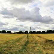 Up to 4,000 homes are planned for what is currently farmland east of the A10 at West Winch