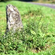 The Stockton Stone.Picture: Nick Butcher