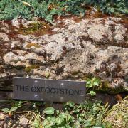 Weird Norfolk. The Oxfootstone with the imprint of the 'fairy cow's' hoof, at Oxfootstone House in Brick Kiln Lane, South Lopham. Picture: DENISE BRADLEY