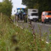 Weird Norfolk. The A1075 road from Thetford to Wretham where a 'shaggy creature' was seen in 1986, and again in 2007. Picture: DENISE BRADLEY