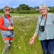 Hanneke Robson (left) and Linden Bevan in the meadow at Ringstead
