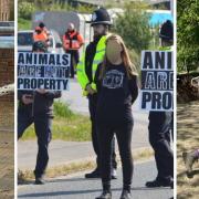 Livestock market protesters Gemma Barnes and Elena Kenny deny intimidation of police