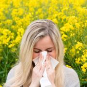 A  pollen bomb is set to hit Norfolk this weekend