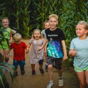 Children enjoying The Wizard Maze in Metton Picture: The Wizard Maze