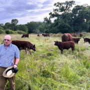 Stalham Farmers’ Club and the East Norfolk NFU branch joined Tony Bambridge for a tour of Park Farm on the Blickling Estate