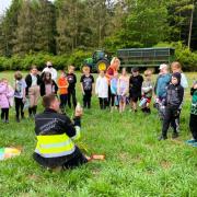 Children from Beccles Primary Academy learned about farming during a visit to the Gawdy Hall Estate near Harleston