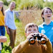WWT Welney launches new Postcard Adventure Trail for the summer holidays