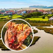 The White Horse in Brancaster is hosting a Lobster and Fizz Festival