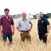 Andrew Blenkiron, managing director of the Elveden Estate, centre, with Nick Scantlebury, left, senior farms manager; and Rob Minty, forestry and conservation senior manager, in a barley field being harvested.