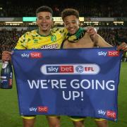 New Sao Paulo loan signing Jamal Lewis enjoyed trophy success in his time at Norwich City