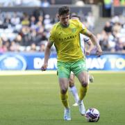 Is Ante Crnac a solution to Norwich City's attacking struggles?