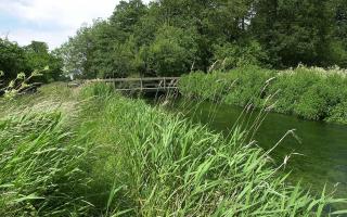 A bridge across the River Bure between Blickling and Erpingham is to be replaced