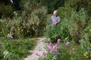 Nature writer Richard Mabey in the Mediterranean part of his rewilded garden at his south Norfolk home.