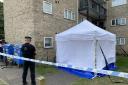 Police cordon in place after murder investigation launched