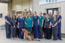 The team at Dereham Vets will be celebrating the practice's one year anniversary