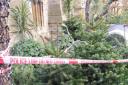 Thieves arrested after attempting to steal 30 trees from pop up near Regents Park