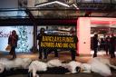 Climate activists stage 'die-in' dressed in Swan Lake costumes outside Sadler's Wells Theatre