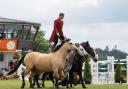 Atkinson Action Horses will be demonstrating a mixture of dressage and Cossack trick riding