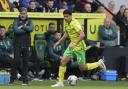 Gabriel Sara has been a key weapon for Norwich City this season.