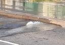 A burst water main has flooded a main town centre road