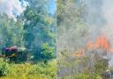 The blaze broke out in Brandon Country Park