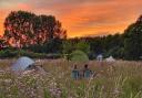 Four Norfolk campsites have been named among the most 