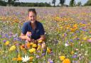 Annelise Easton in the pick-your-own wildflower field at The Pulham Patch