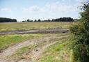 The land where a housing development may be built at Larling