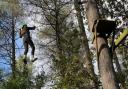 Young carers enjoy day out at Thorpe Adventure Park