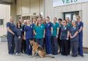 The team at Dereham Vets will be celebrating the practice's one year anniversary