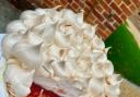 Polly Guy's delicious meringue recipe